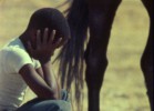 The Horse, by Charles Burnett