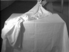 Frozen and Buried Alive, by Cynthia Maughan