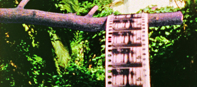 Visions, Memory, and a Machine: Optical Manipulations